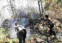Respon Cepat Call Center 110 Polres Ngawi, Kebakaran Lahan di Bukit Gogor Sine Berhasil Dipadamkan