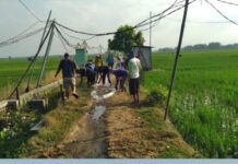 Gerakan Pengendalian Tikus Digelar di Boto Purwosari, Libatkan Poktan dan Petani Setempat