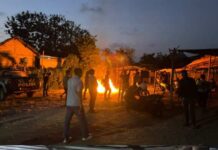 Viral di Medsos, Polres Tulungagung Bongkar Lokasi Judi Sabung Ayam dan Dadu di Desa Bono